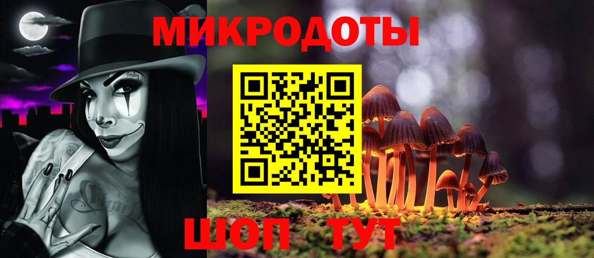 Псилоцибиновые грибы мицелий Сланцы